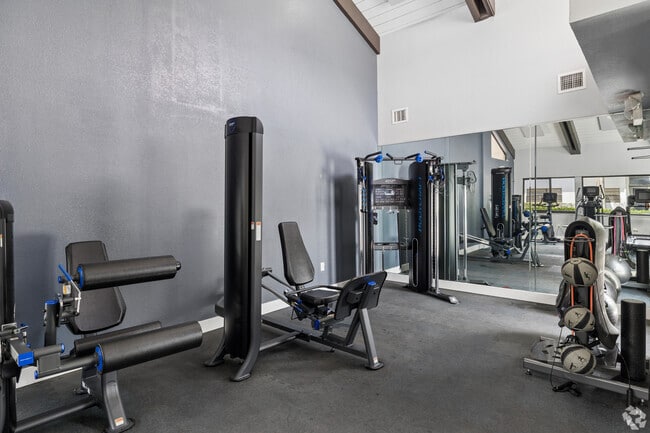 Gimnasio - Circle Sunrise