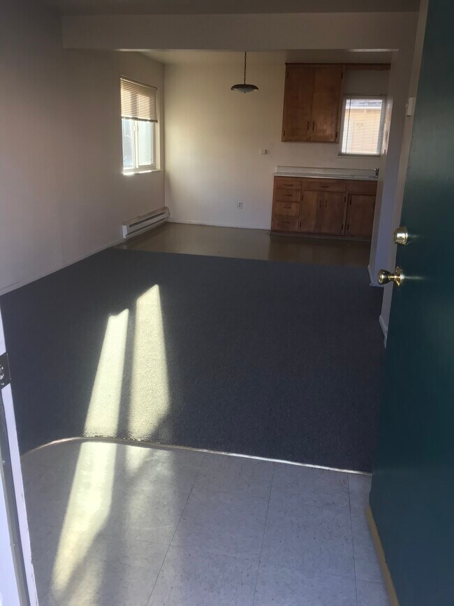 Entrance into living room with new carpeting - 622 Chestnut St