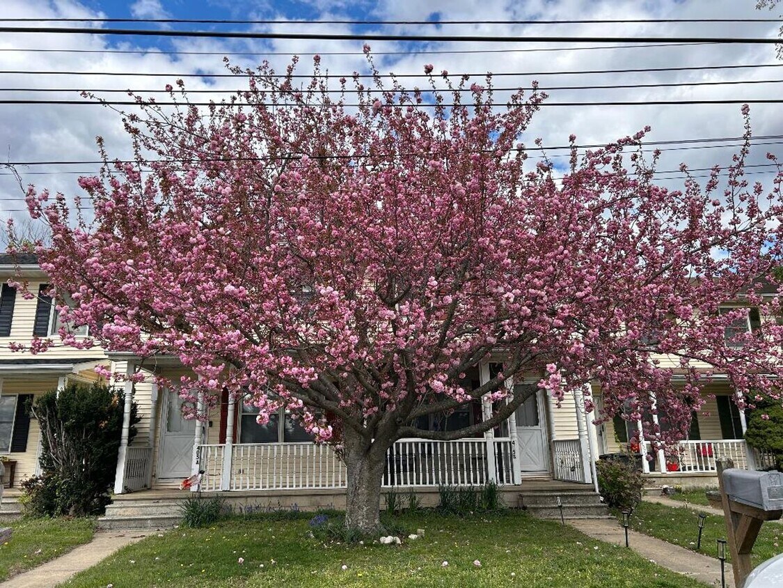 Foto principal - DOVER - COURTNEY SQUARE