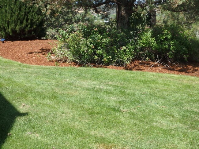 Building Photo - Executive Suite/Vacation/Short Term Rental 30-90 days