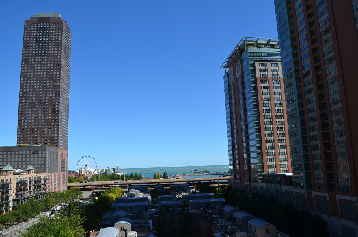 440 N McClurg Ct Unit 1015, Chicago, IL 60611 Condo for Rent in
