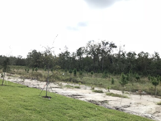Building Photo - Newer 4/3 Single Story Home Lake Nona/Moss...
