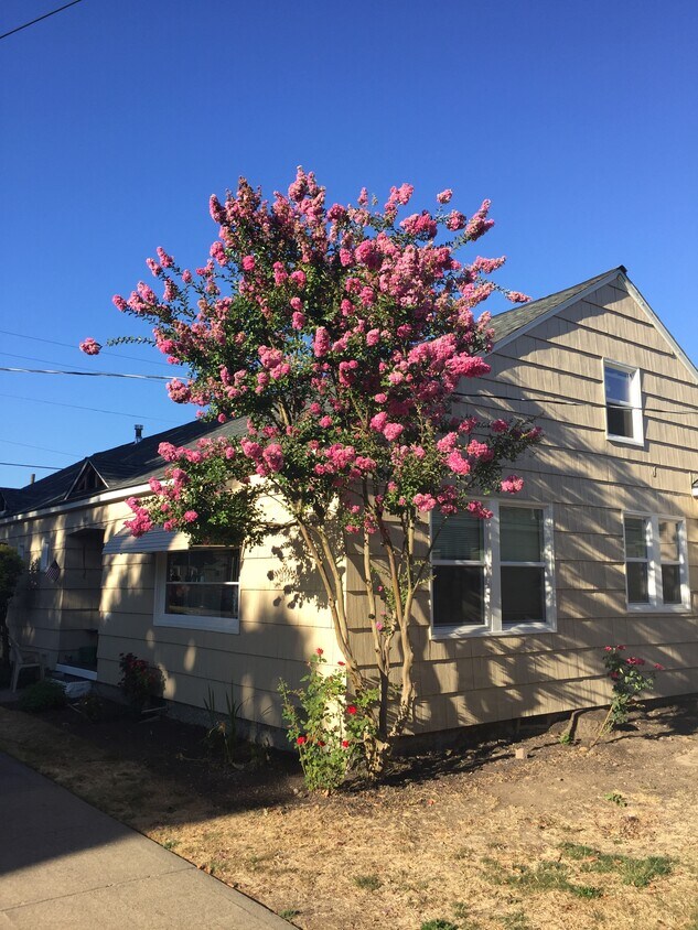 Primary Photo - 202 S Center St