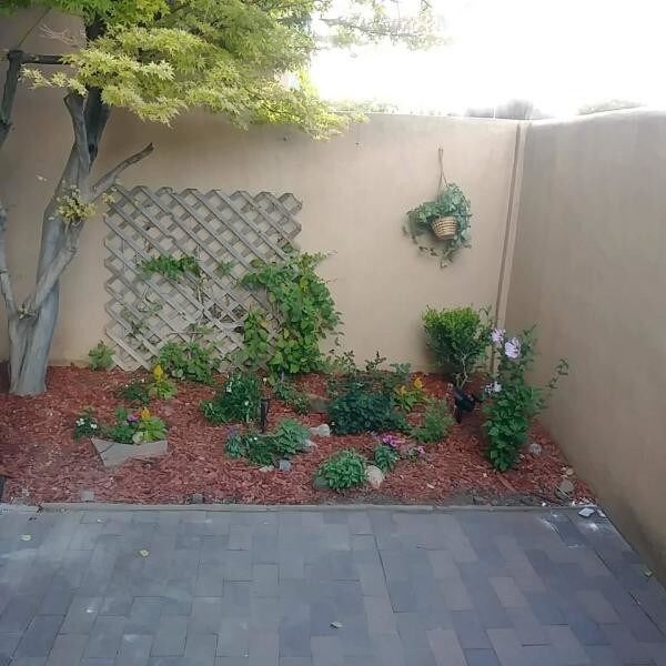 Building Photo - 1339 Pacheco Ct