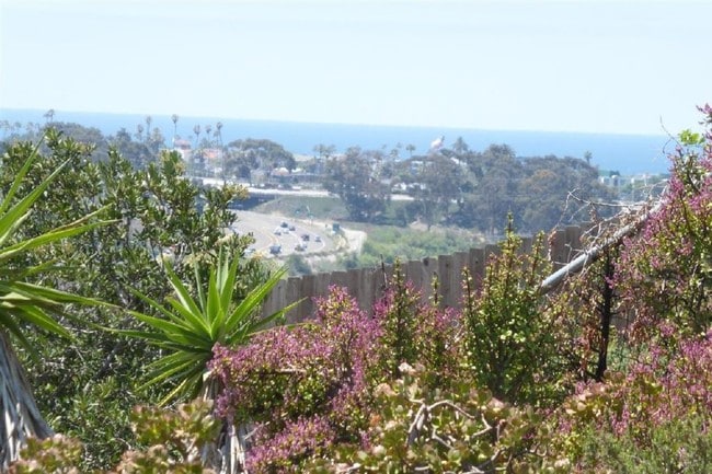 Building Photo - 1015 Capistrano Dr