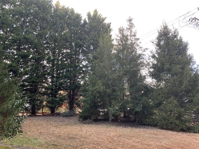 Foto del edificio - 518 Eliada Home Rd