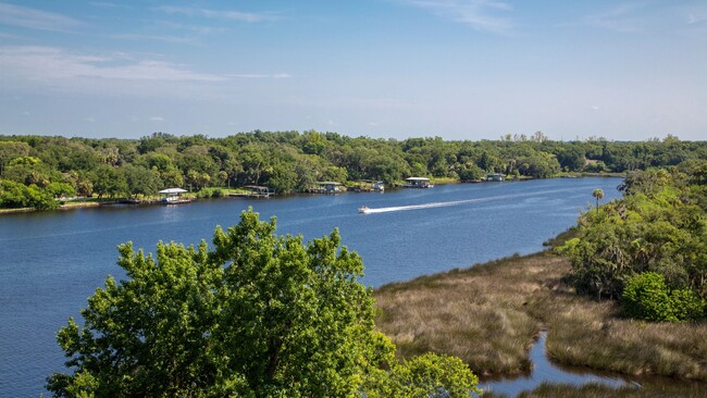 Maravíllese con la accesibilidad diaria de los tranquilos paisajes del río y de la reserva pacífica para escapar a solo unos pasos de nuestra tranquila comunidad. - Preserve at Alafia