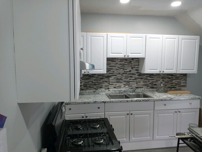 Newly Remodeled Kitchen - 534 William St