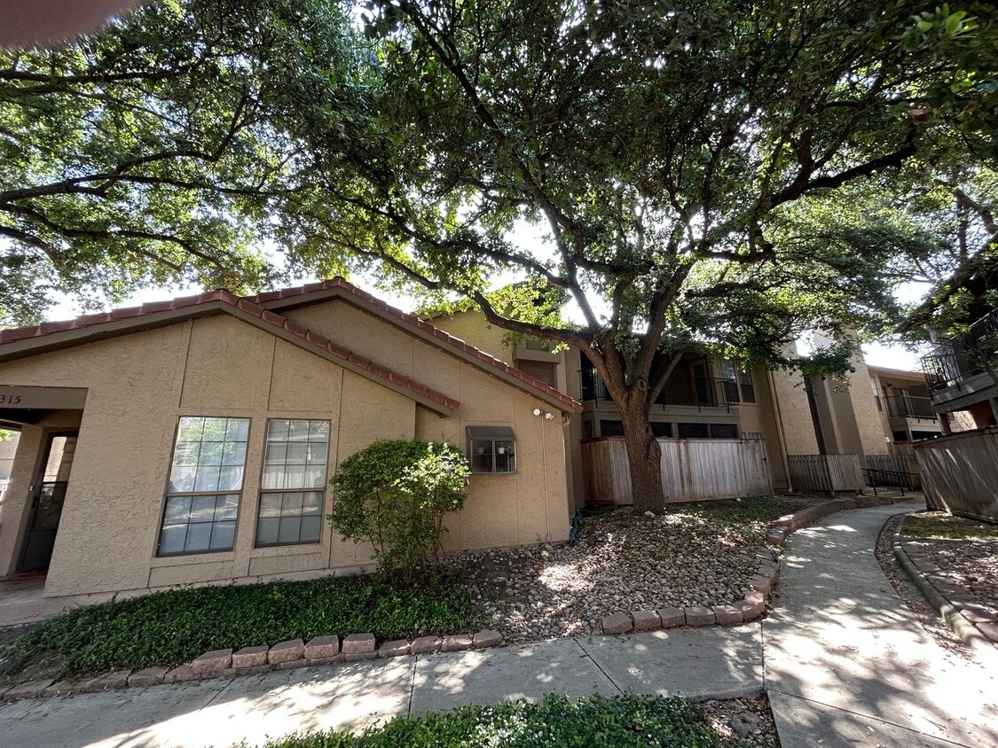 1202 Thorpe Ln Unit 308, San Marcos, TX 78666 Room for Rent in San Marcos, TX
