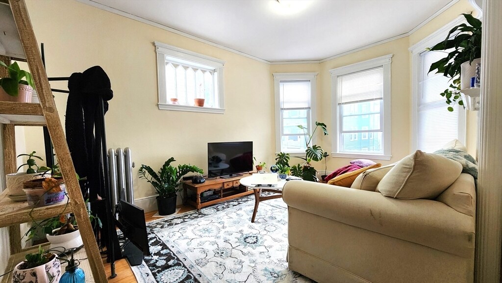 Primary Photo - 6 Newton St