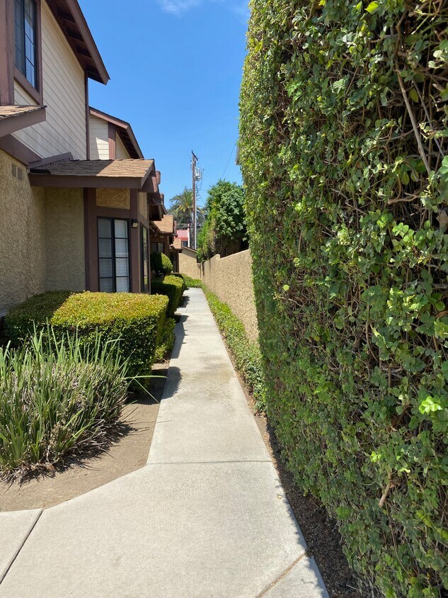 Walkway - 315 W Center St