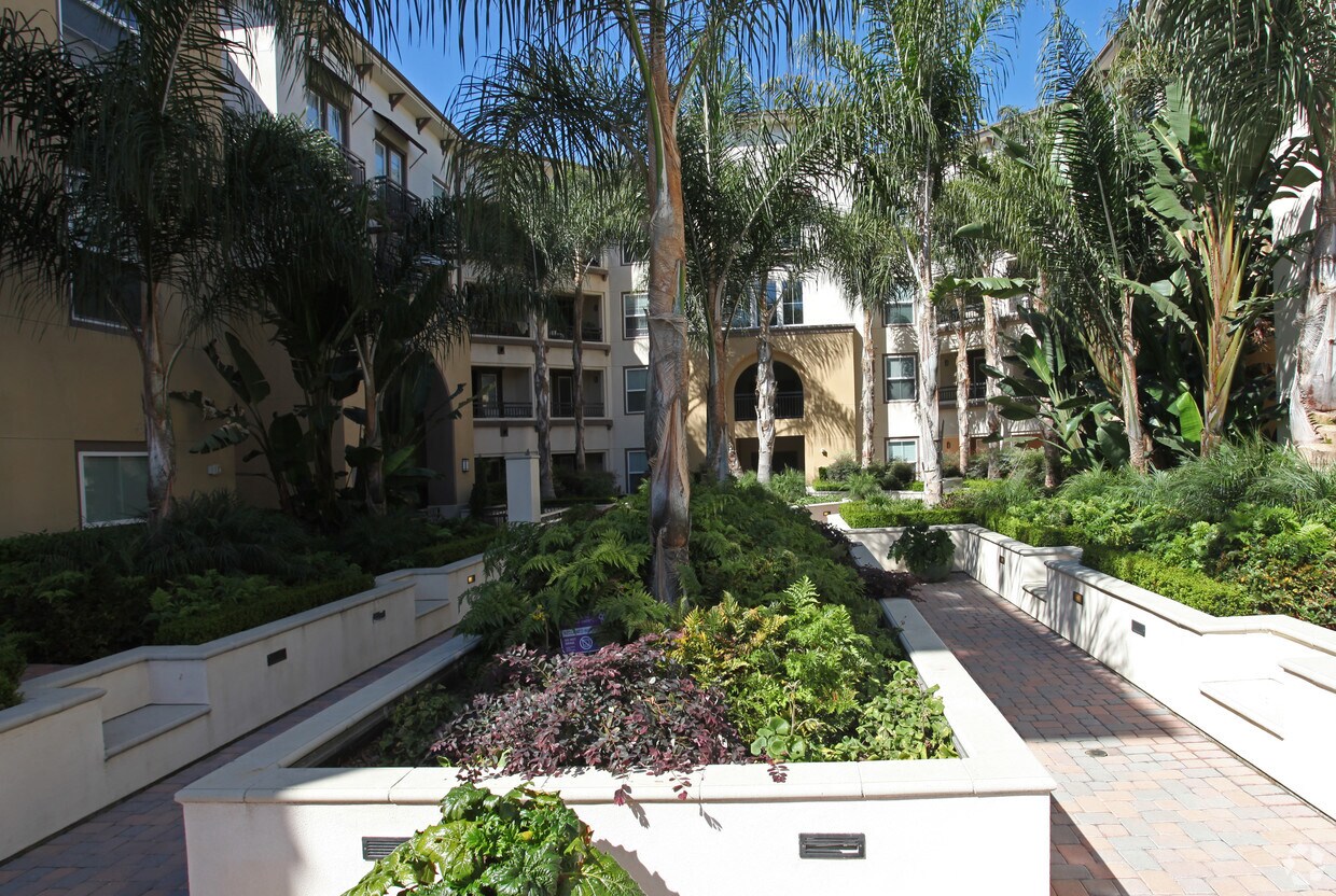 Luxury Car Rentals Long Beach Ca Luxury Car Rentals Long Beach Ca