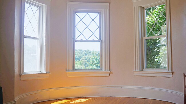 Beautiful afternoon sunlight reflecting into living room with great green view. - 307 Tappan St