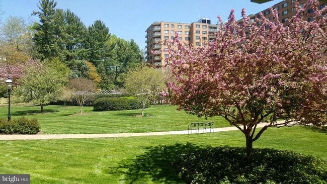 Photo - 4201 Cathedral Ave NW Apartment