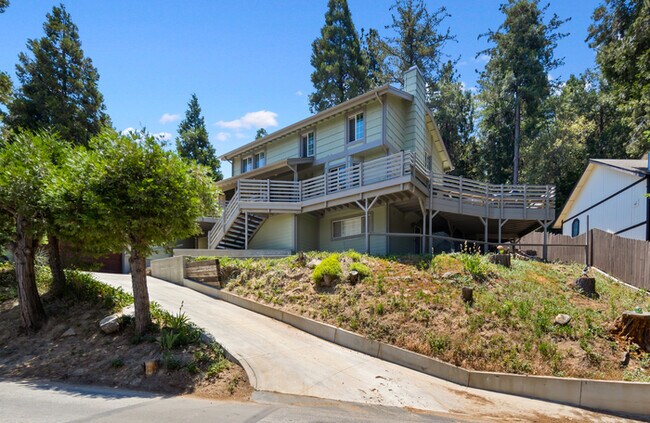 Building Photo - Massive 4 BD/3 Bath Dream Home in the Forest