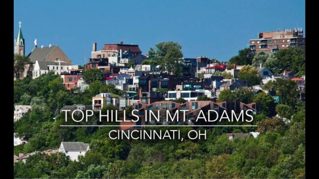 YOU CAN LIVE HERE!!! - 1109 Belvedere St
