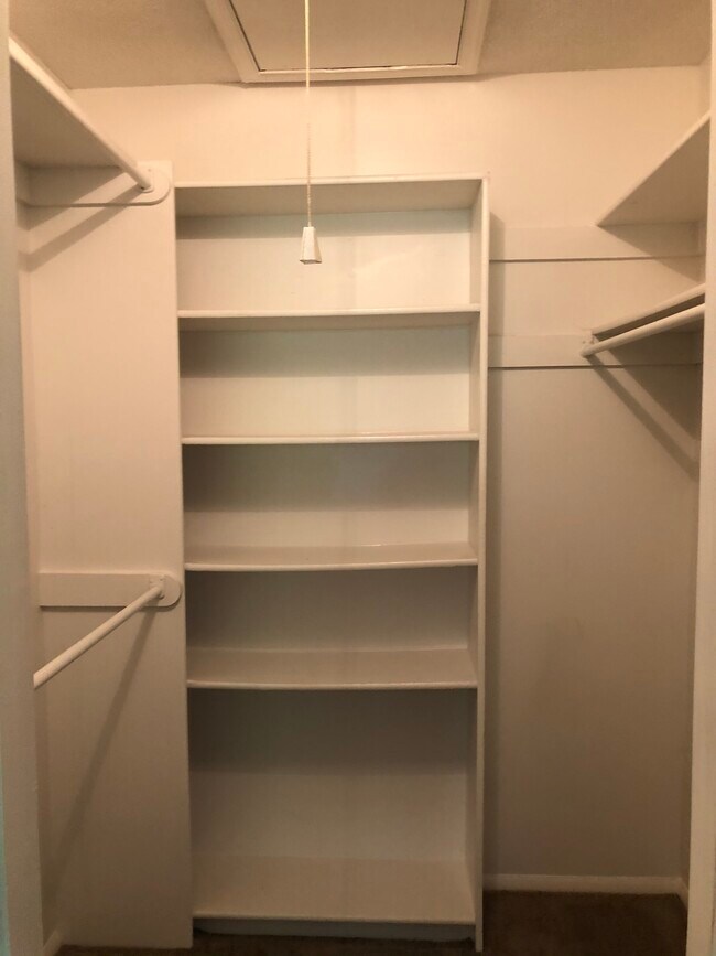Walk-in closet - 5346 Palmyra Ct
