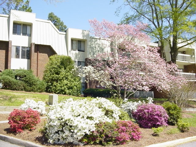 Charming 3 Bedroom Condo in the Heart of Chapel Hill! - Charming 3 Bedroom Condo in the Heart of Chapel Hill!