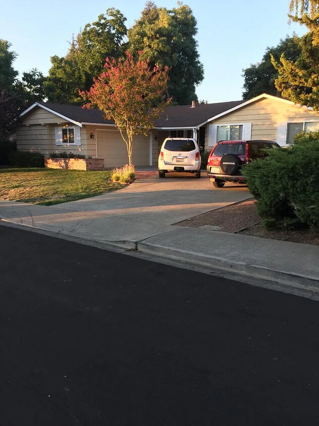 428 Dogwood Dr, Walnut Creek, CA 94598 House Rental in Walnut Creek