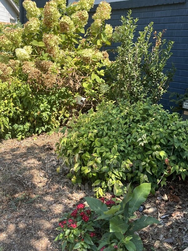 Foto del edificio - 2567 E 17th St