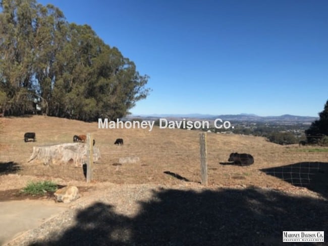 Foto del edificio - 1320 Spring Hill Rd