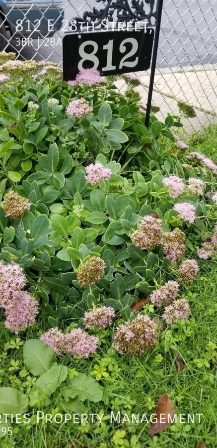 Photo - 812 E 28th St House