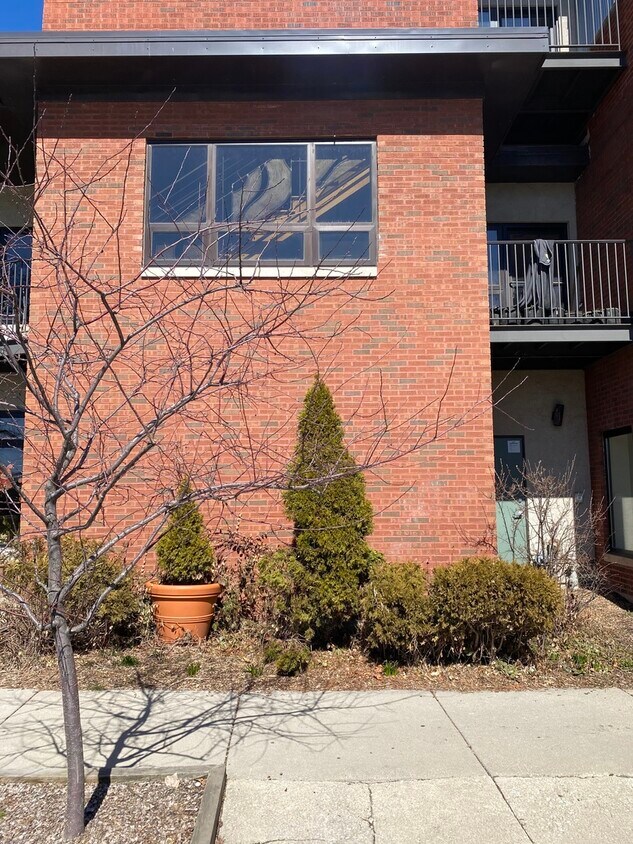 1607 Simpson St Unit 2E, Evanston, IL 60201 Condo for Rent in