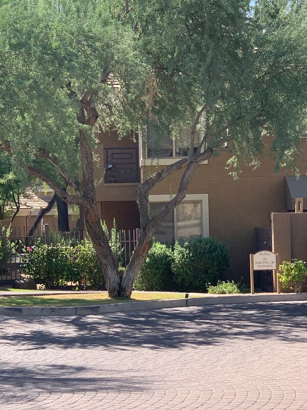 Photo - 1411 E Orangewood Ave Apartment