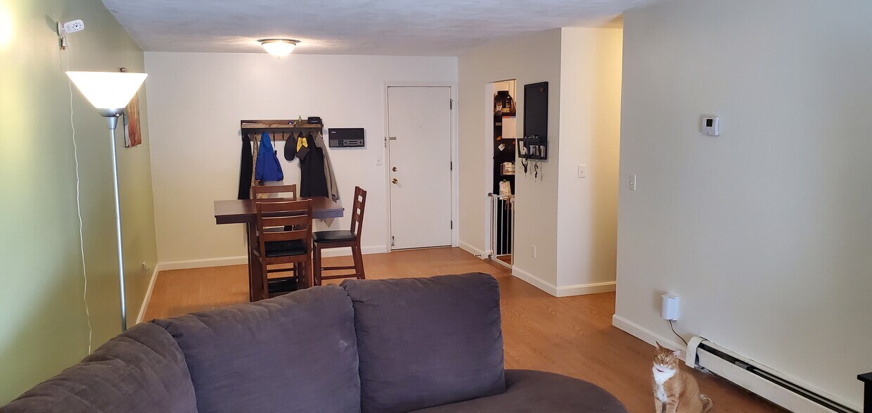 Living room - 310 Brook Village Rd