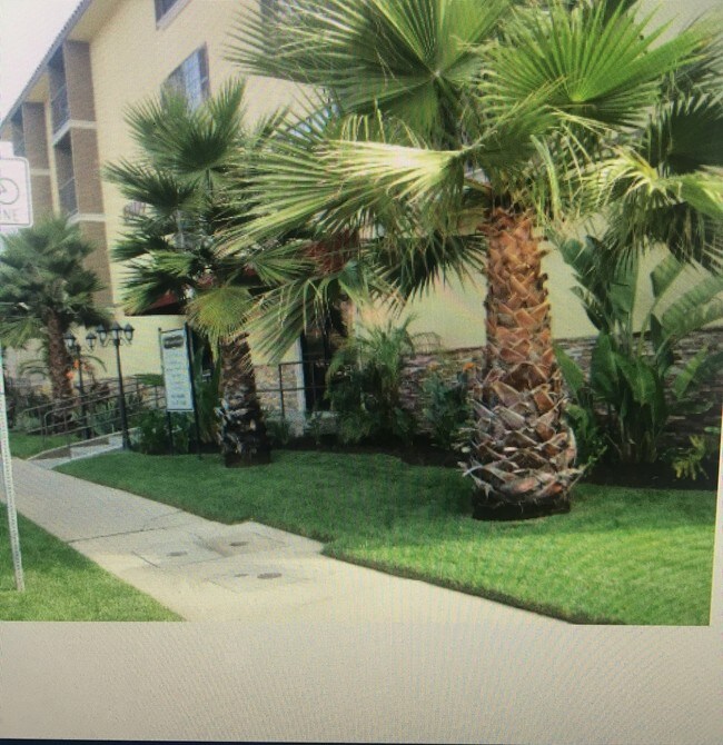 5000 Laurel Canyon Blvd Unit 105, Los Angeles, CA 91607 Apartments in