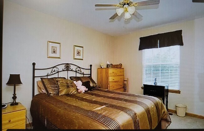 Foto del edificio - 2715 Signal Creek Dr