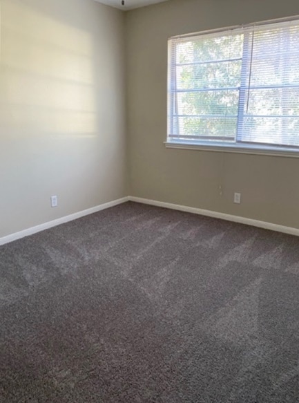 Building Photo - 20415 Havens Edge Ct