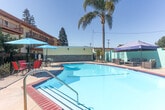 Located on Saratoga Avenue in San Jose, California, this generously sized single-level outdoor common area offers a well-appointed community environment designed for both relaxation and recreation. At its centerpiece is a resort-style swimming pool enclosed by a black iron security gate, surrounded by a spacious stone-tiled pool deck furnished with colorful umbrellas, lounge seating, and shade structures. Towering palm trees frame the pool area, lending a warm, California-resort ambiance under the open sky.

Connecting the various zones of the property are smooth concrete walkways that wind past thoughtfully curated landscaping beds, featuring ornamental grasses, flowering shrubs, ground cover, and a variety of mature trees. A dedicated lawn area with lush artificial turf provides additional open green space, bordered by stucco perimeter walls that ensure privacy and security throughout the grounds.

The surrounding residential buildings feature neutral stucco and wood-panel exteriors with balconies and multi-pane windows, contributing to a cohesive architectural aesthetic. Accent lighting fixtures and decorative lantern posts are positioned along the pathways, enhancing the space's functionality and visual appeal. The grounds are meticulously maintained, offering residents a serene and attractive outdoor environment in the heart of San Jose.