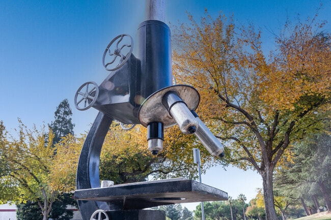 An art sculpture surprises with its scale in downtown Vacaville.