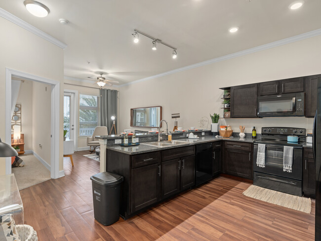 Granite Countertop Designer Kitchen - Lake Lofts at Deerwood