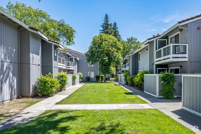 Courtyard - The Grove at Davis