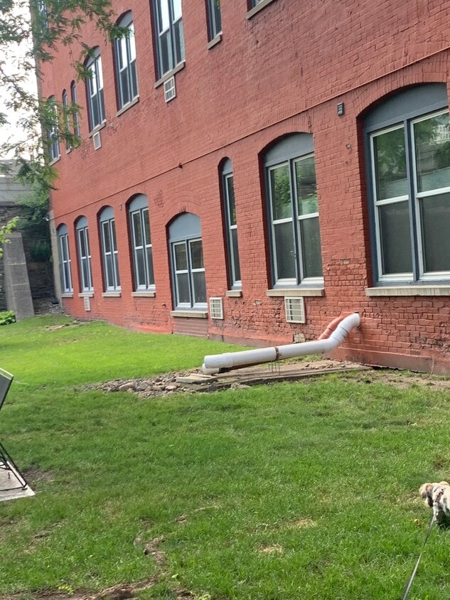 215 7th St NE Unit 206, Minneapolis, MN 55413 Condo for Rent in