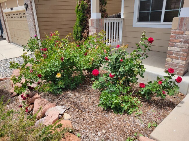 Foto del edificio - 8036 Parsonage Ln