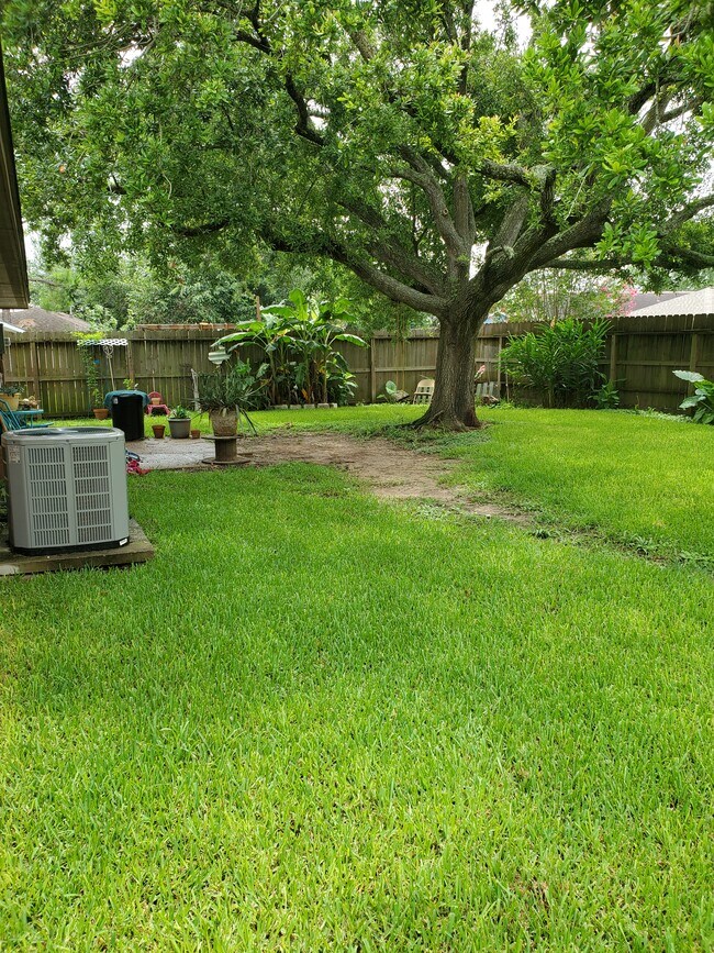 Back yard - 446 Capehill Dr