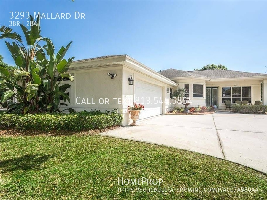 Primary Photo - Beautiful Safety Harbor Pool Home