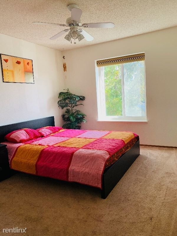 Foto del edificio - 4 br, 2.5 bath House - 34691 Teal Cmn
