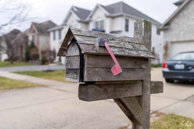Many homes have custom built mailboxes in the North Normantown neighborhood of Plainfield, IL.