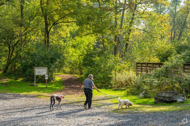 Dog walkers frequent the shaded paths at Quittie Creek Nature Park.