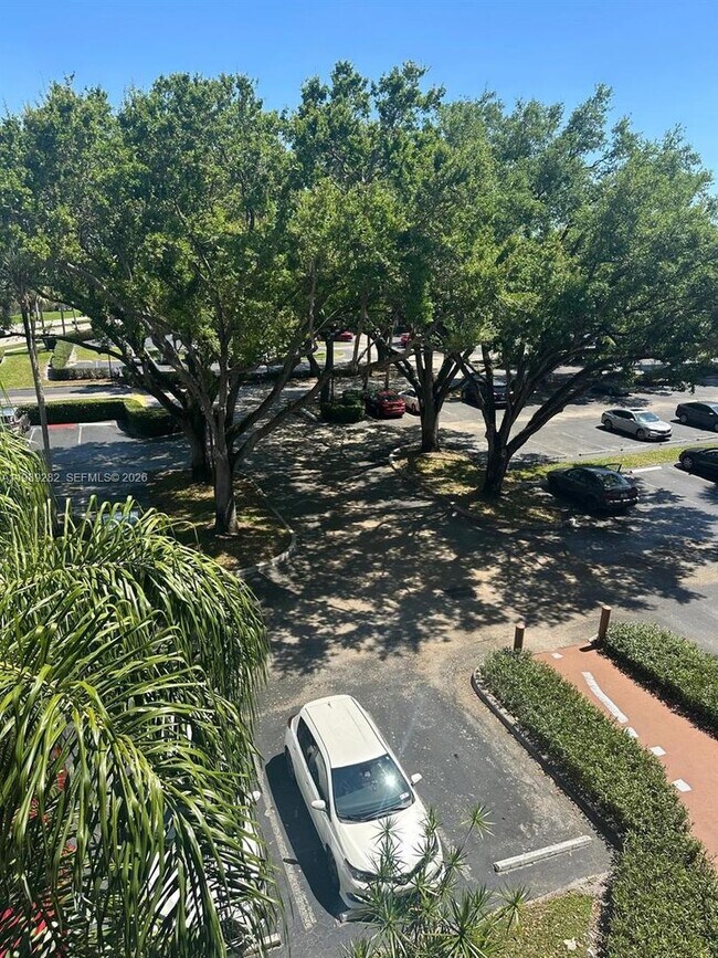 Photo - 1811 Sabal Palm Dr House