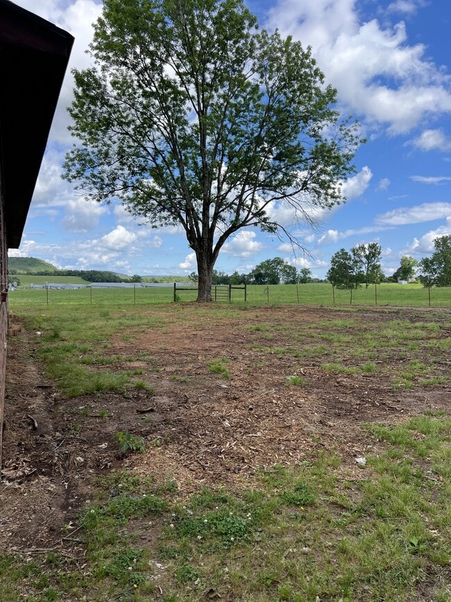 Building Photo - 2713 State Hwy 315