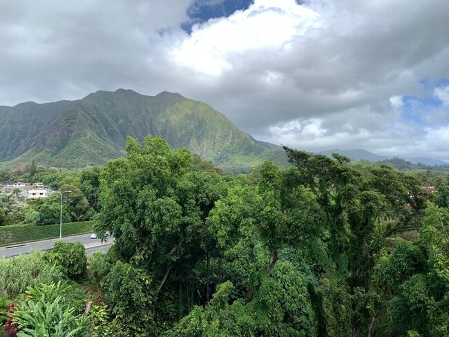 Building Photo - Haiku Hale: 2 Bed, 1 Bath Condo w/ 1 Parki...