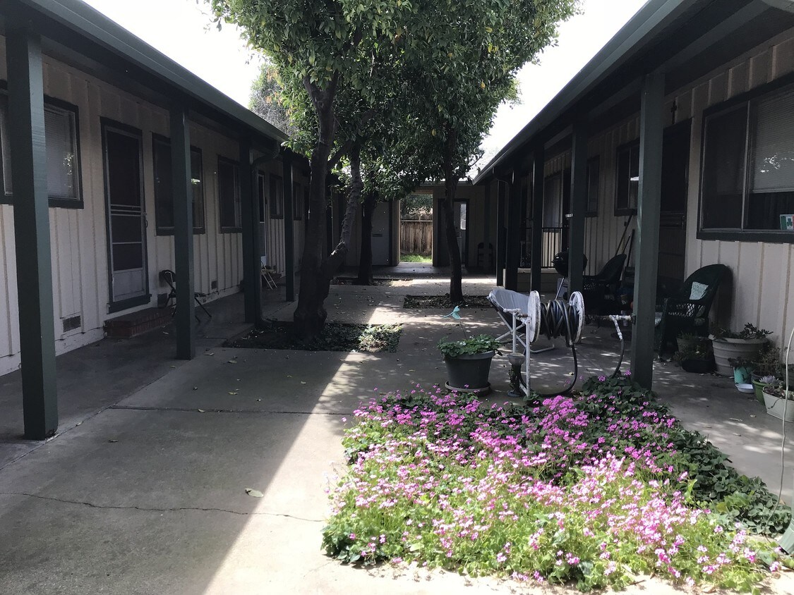 1391 E Lindo Ave Unit 6, Chico, CA 95926 Apartment for Rent in Chico