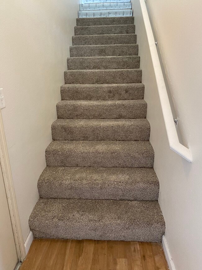 Alfombra nueva - 17000 Wedge Pkwy