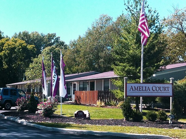 Foto del edificio - Amelia Apartments