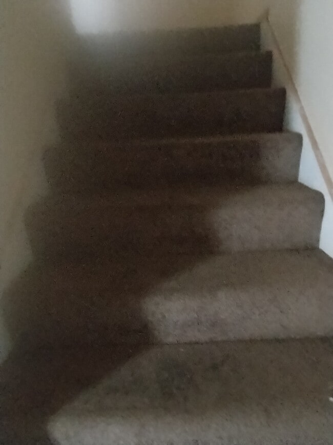 Building Photo - 6955 S Normal Blvd